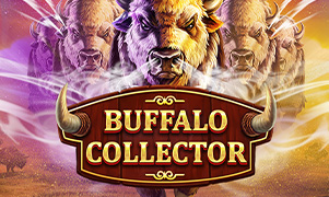sunwin sun1 Buffalo Collector